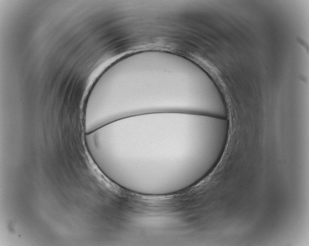 X0000102401200200808221841