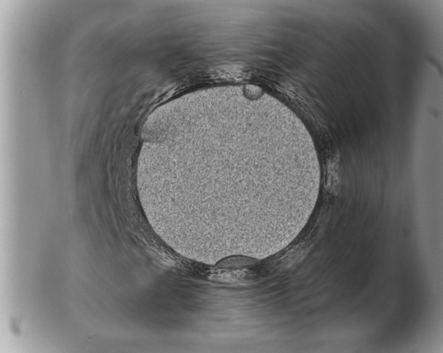 X0000102401201200808221840