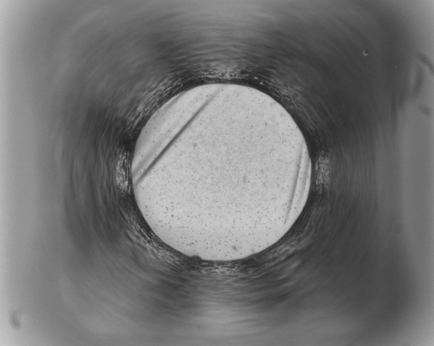 X0000102401202200808221840