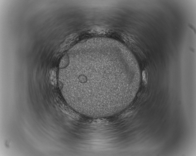 X0000102401203200808221840