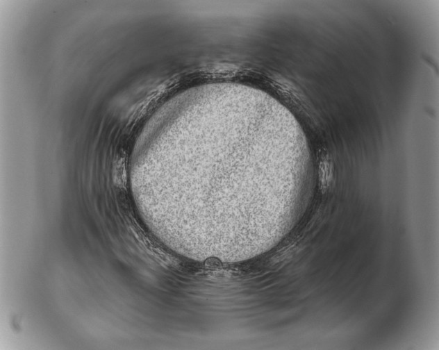 X0000102401204200808221840