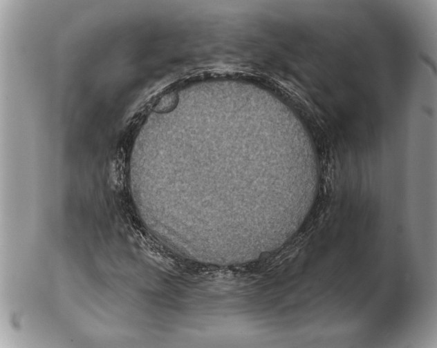 X0000102401207200808221840