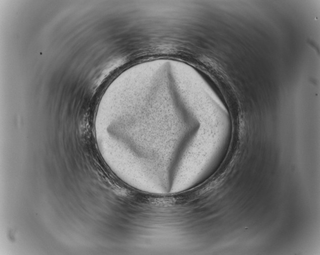 X0000102401210200808221840