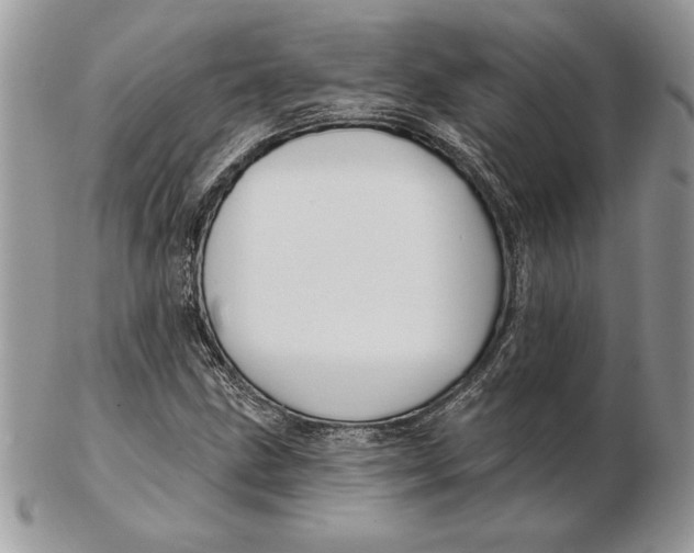 X0000102401211200808221840