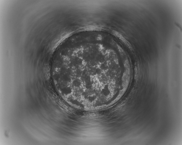 X0000102401213200808221840