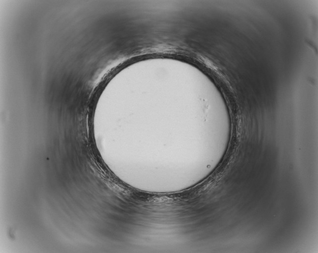 X0000102401214200808221840