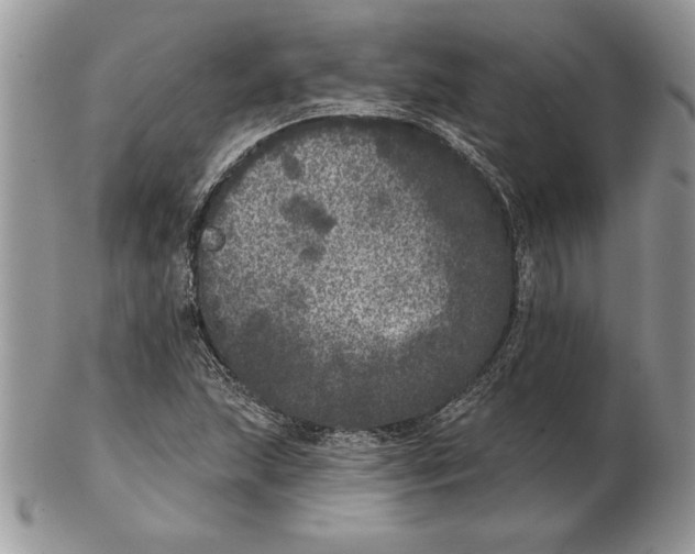 X0000102401215200808221840