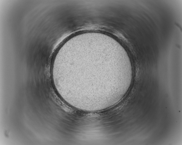 X0000102401216200808221840