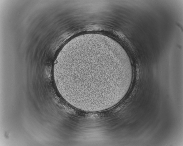 X0000102401217200808221840