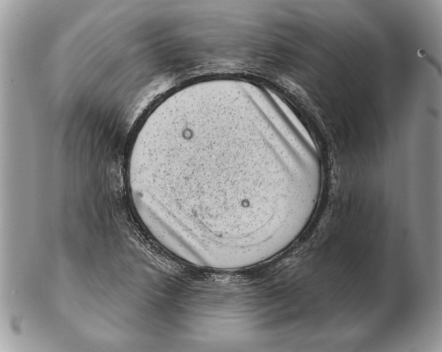 X0000102401218200808221840