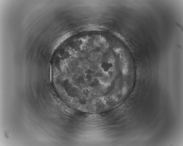 X0000102401219200808221840