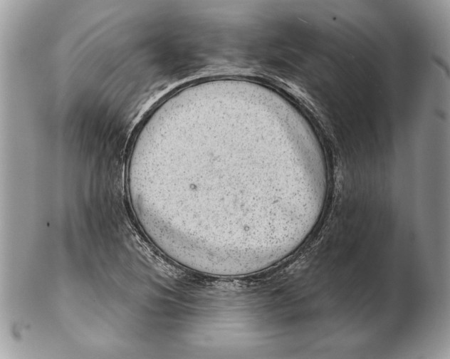 X0000102401220200808221840