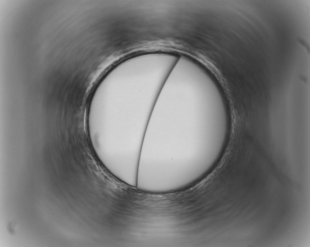 X0000102401224200808221840