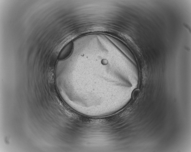 X0000102401225200808221840