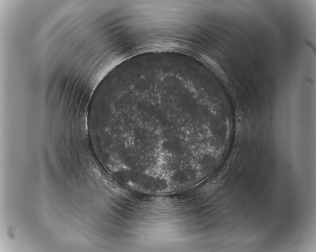 X0000102401226200808221840