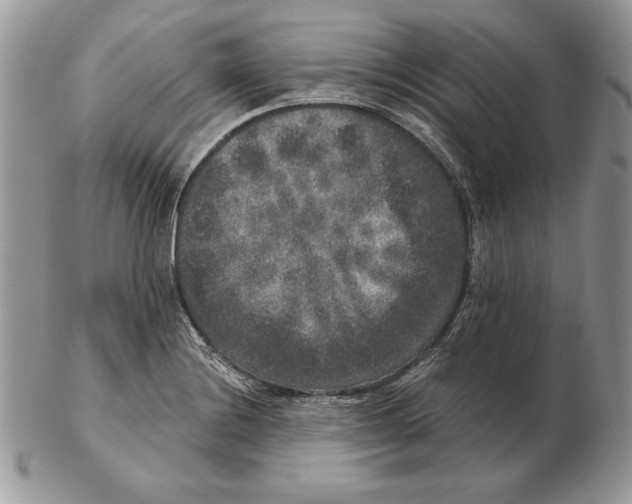 X0000102401228200808221840