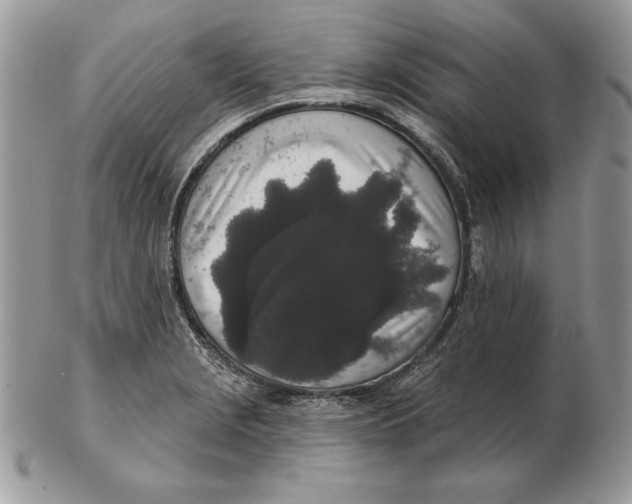 X0000102401229200808221840