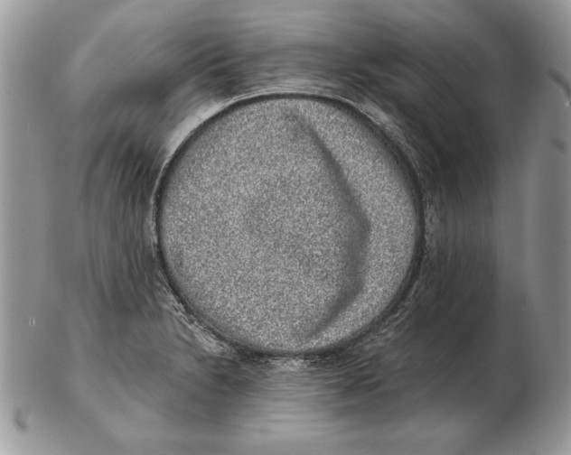 X0000102401230200808221840