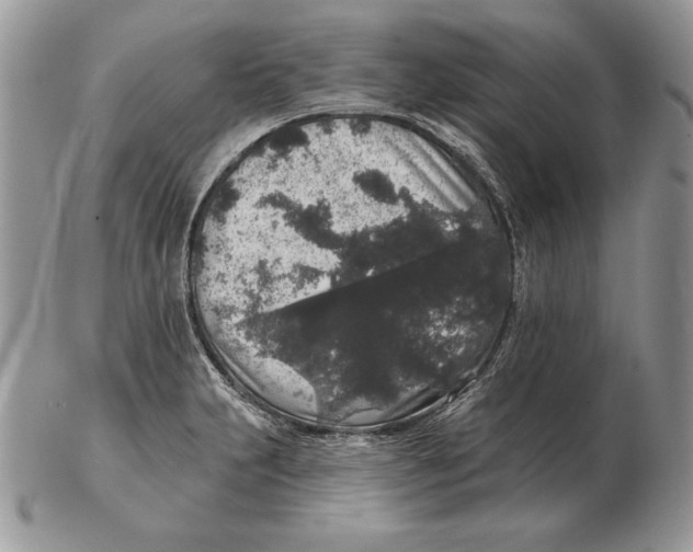 X0000102401231200808221840