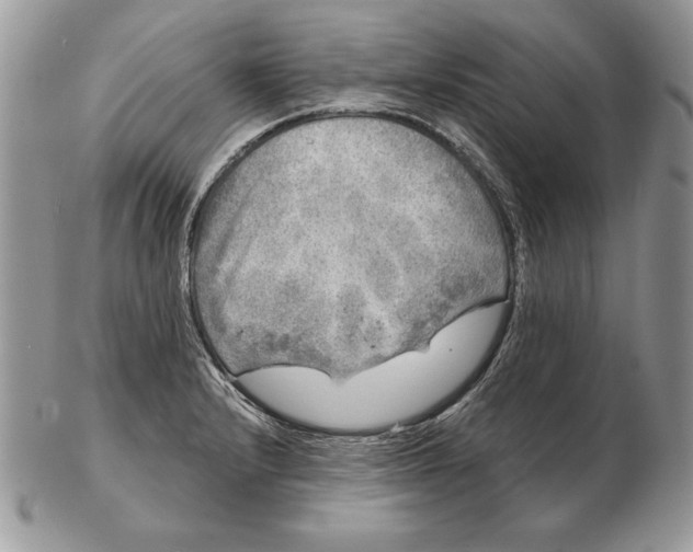 X0000102401232200808221840