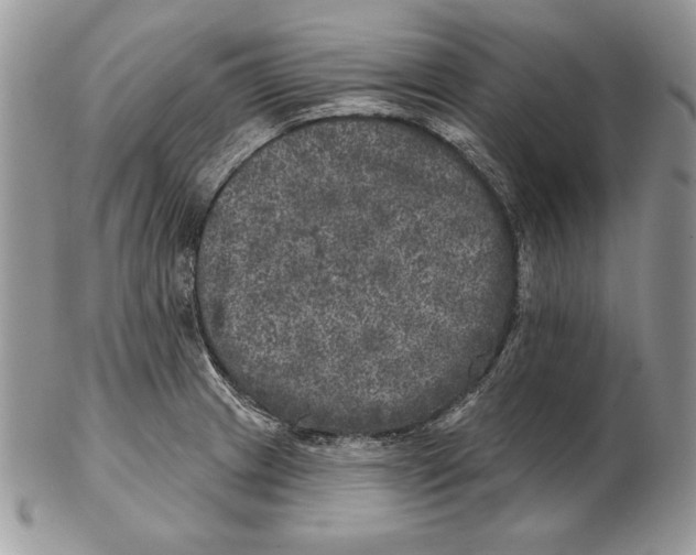 X0000102401233200808221840