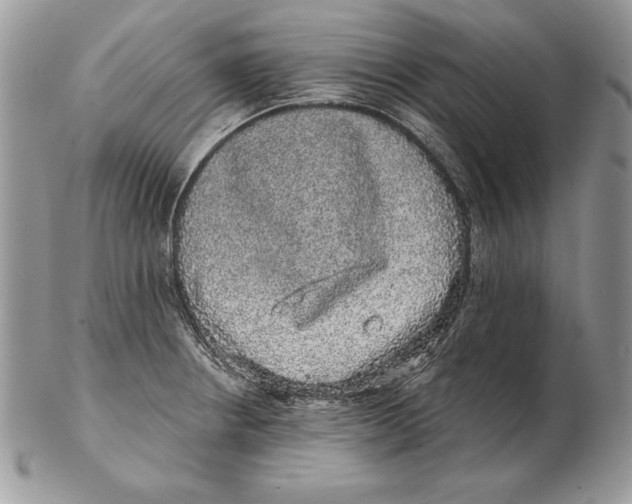 X0000102401234200808221840