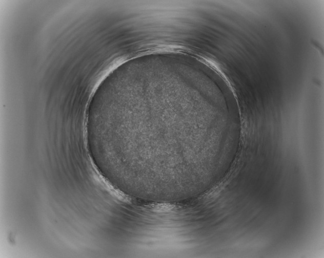 X0000102401235200808221840