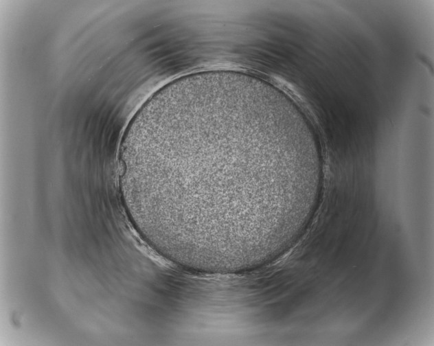 X0000102401236200808221840