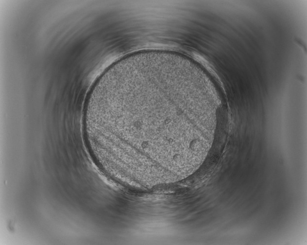 X0000102401237200808221840