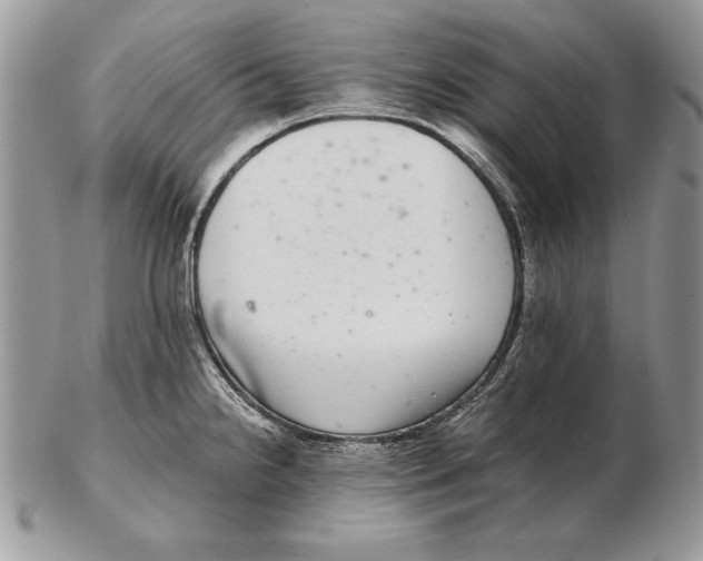 X0000102401238200808221840