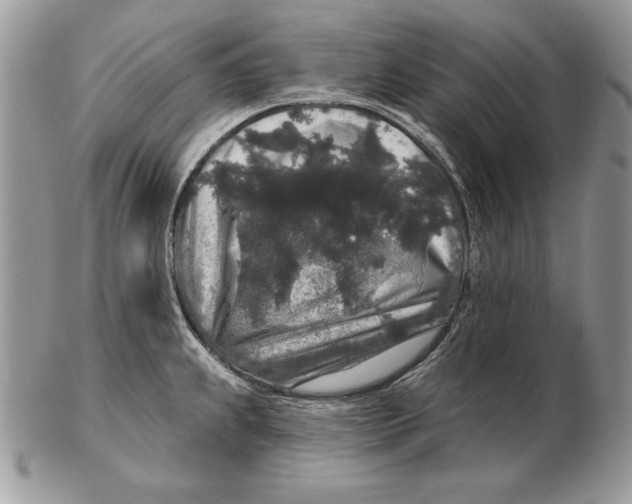 X0000102401239200808221840