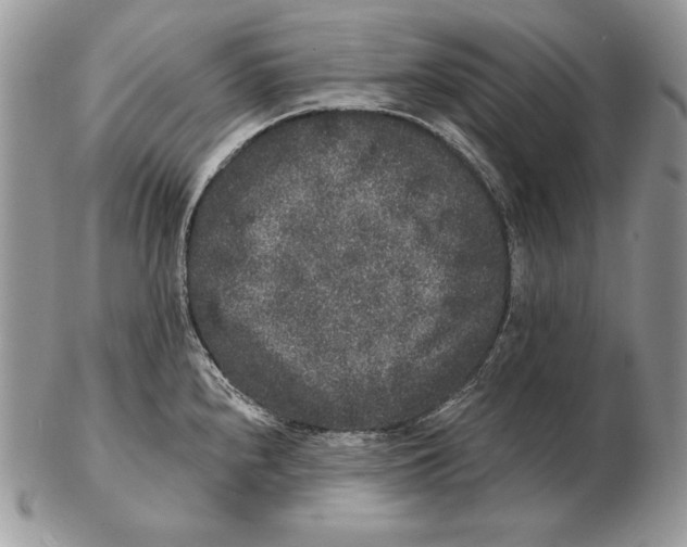 X0000102401240200808221840