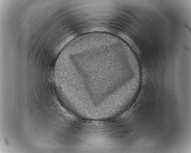 X0000102401241200808221840