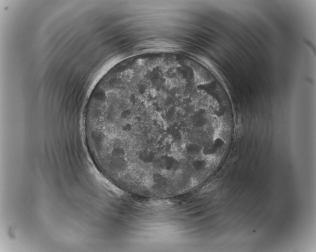 X0000102401243200808221840