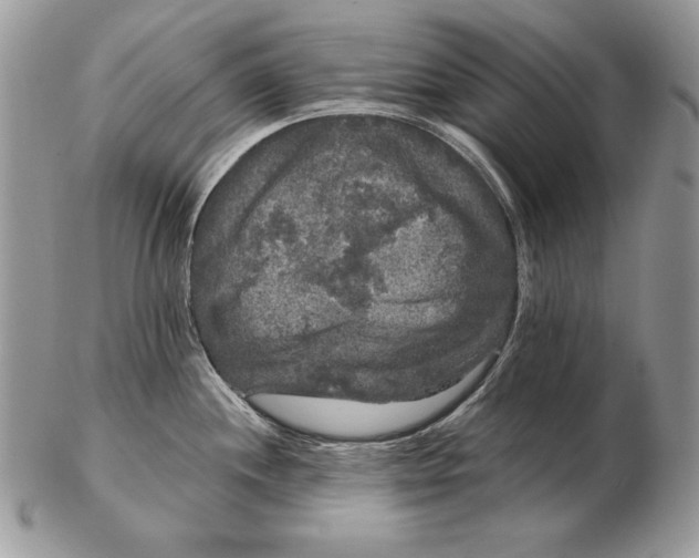 X0000102401244200808221840