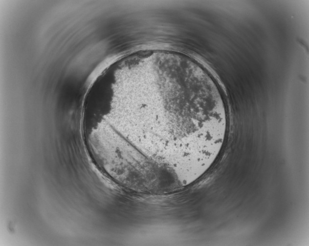 X0000102401245200808221840