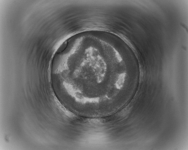 X0000102401246200808221841