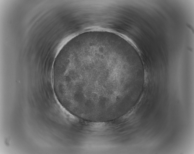 X0000102401247200808221841