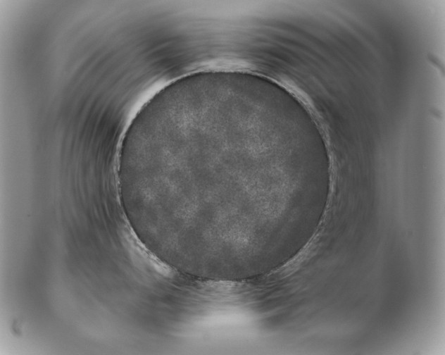 X0000102401248200808221841