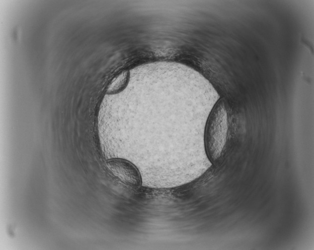 X0000102401249200808221840