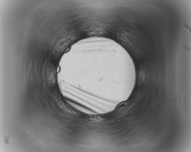 X0000102401250200808221840