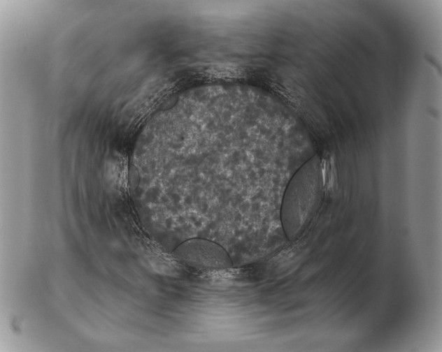 X0000102401251200808221840