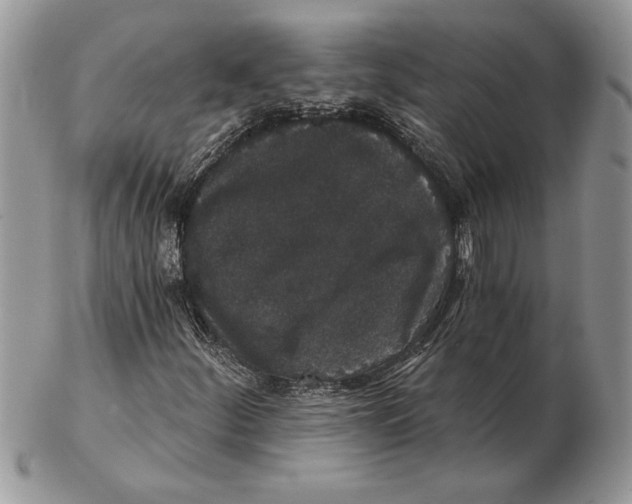 X0000102401252200808221840