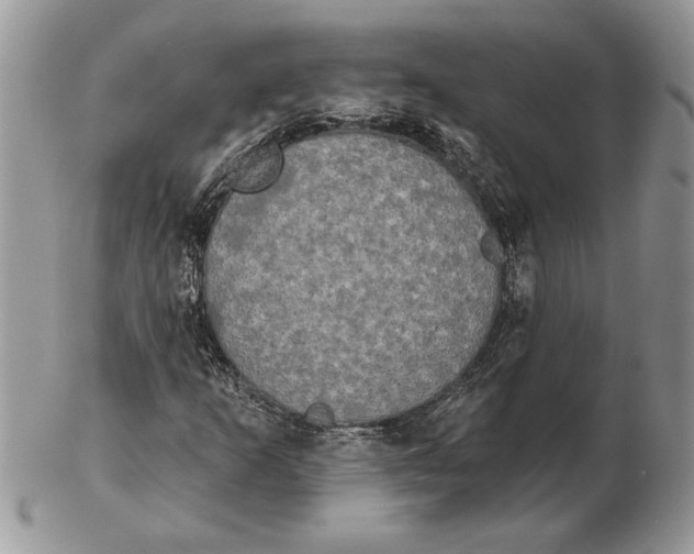 X0000102401253200808221840