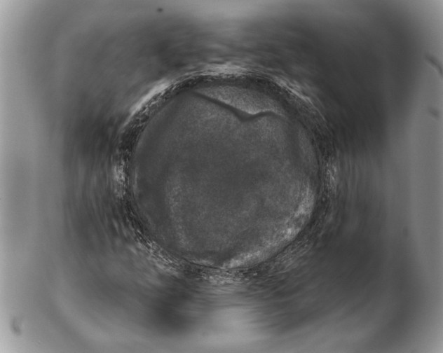 X0000102401254200808221840