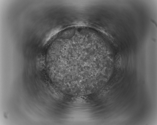 X0000102401255200808221840