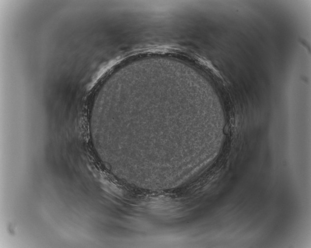 X0000102401256200808221840