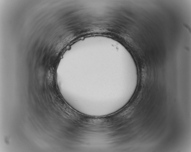 X0000102401257200808221840