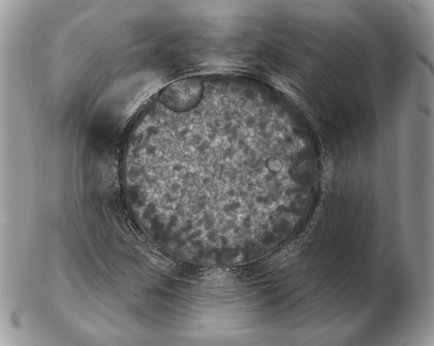 X0000102401259200808221840