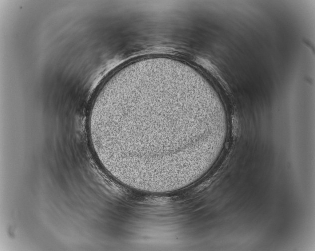 X0000102401260200808221840